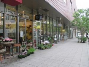 IMG_5646