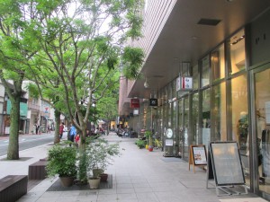 IMG_5647